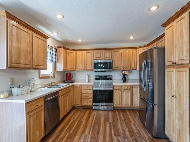 2917 SW Coves Dr, Ankeny, IA 50023 - kitchen featuring recessed lighting, light countertops, dark wood finished floors, stainless steel appliances, and a sink