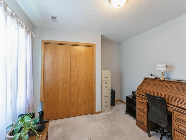 2917 SW Coves Dr, Ankeny, IA 50023 - home office featuring light carpet, a textured ceiling, and baseboards