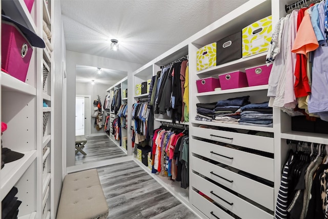 875 Roman Rd, Waukee, IA 50263 - walk in closet with wood finished floors