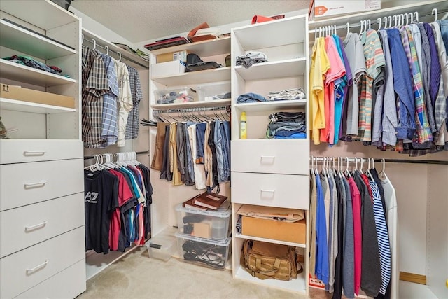5417 NW 92nd St, Johnston, IA 50131 - walk in closet with carpet