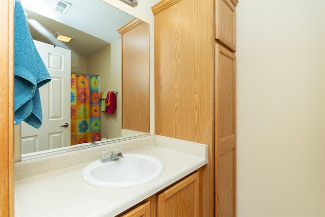 921 10th St SE, Altoona, IA 50009 - full bath with vanity