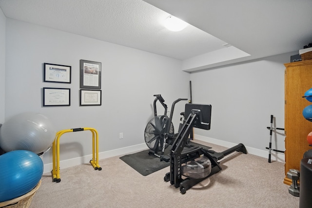 8704 Highland Oaks Dr, Johnston, IA 50131 - workout room with carpet flooring and baseboards