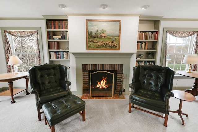 1113 Bruce Ln, Pella, IA 50219 - sitting room featuring ornamental molding, built in features, and carpet