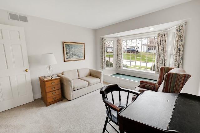 1113 Bruce Ln, Pella, IA 50219 - living area with visible vents and carpet floors