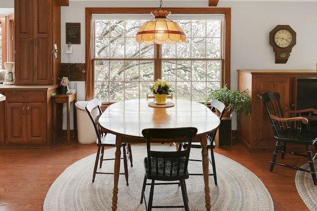 1113 Bruce Ln, Pella, IA 50219 - dining room featuring wood finished floors