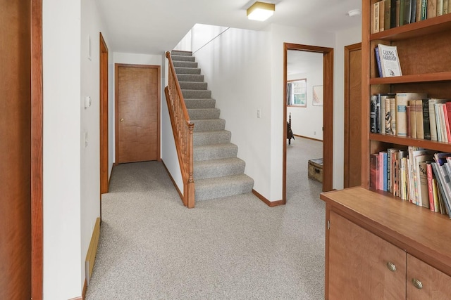1113 Bruce Ln, Pella, IA 50219 - stairway with carpet and baseboards