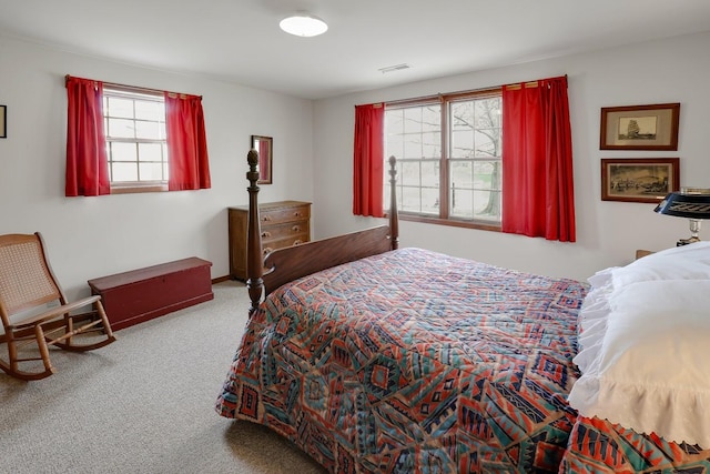 1113 Bruce Ln, Pella, IA 50219 - carpeted bedroom with visible vents
