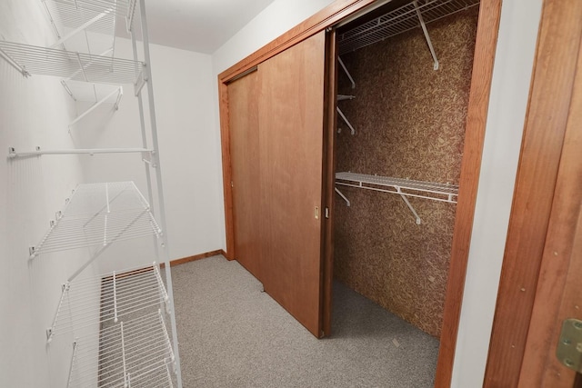 1113 Bruce Ln, Pella, IA 50219 - walk in closet featuring carpet