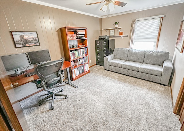 1009 198th Pl, Pella, IA 50219 - office space featuring ceiling fan, carpet floors, ornamental molding, and baseboards