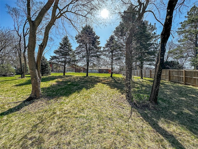 1009 198th Pl, Pella, IA 50219 - view of yard