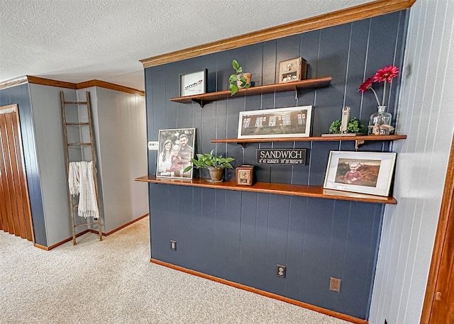 1009 198th Pl, Pella, IA 50219 - bar with ornamental molding, carpet, a textured ceiling, and wooden walls