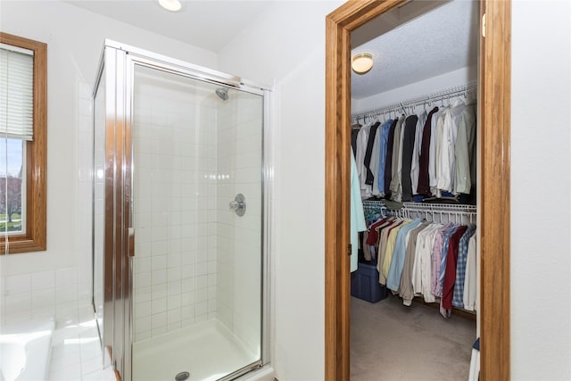 9040 Telford Cir, Johnston, IA 50131 - bathroom featuring a shower stall and a walk in closet