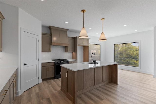 1112 2nd St NE, Altoona, IA 50009 - kitchen featuring gas range, custom exhaust hood, a sink, light wood-style floors, and tasteful backsplash