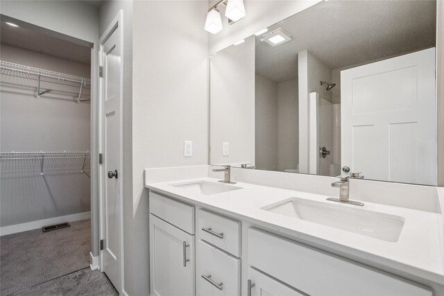 4413 NW Olivia Ln, Ankeny, IA 50023 - bathroom with double vanity, a shower, and a walk in closet