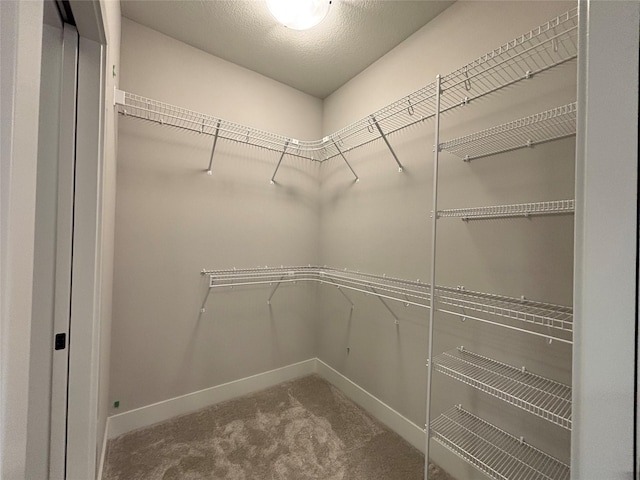 1910 Silver Maple Dr, Norwalk, IA 50211 - spacious closet featuring carpet