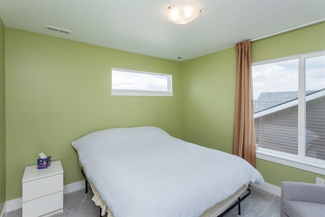 4125 NE 6th St, Ankeny, IA 50021 - bedroom with baseboards, visible vents, and carpet floors