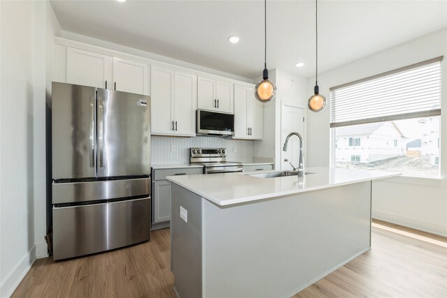 4125 NE 6th St, Ankeny, IA 50021 - kitchen with stainless steel appliances, wood finished floors, a sink, light countertops, and backsplash