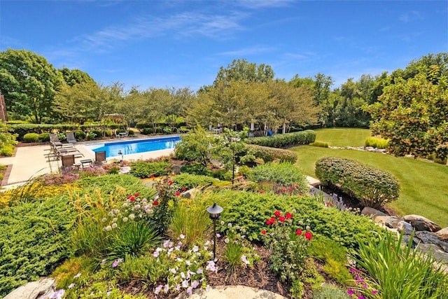 7580 NW 100th St, Johnston, IA 50131 - swimming pool featuring a yard