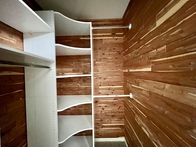 2501 Ridgewood Dr, West Des Moines, IA 50265 - view of spacious closet