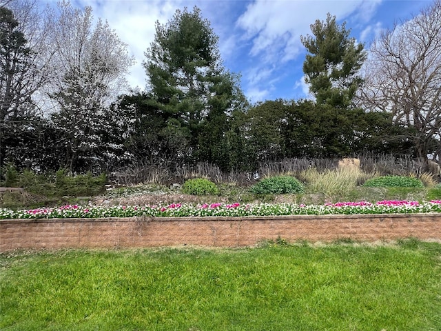2501 Ridgewood Dr, West Des Moines, IA 50265 - view of yard