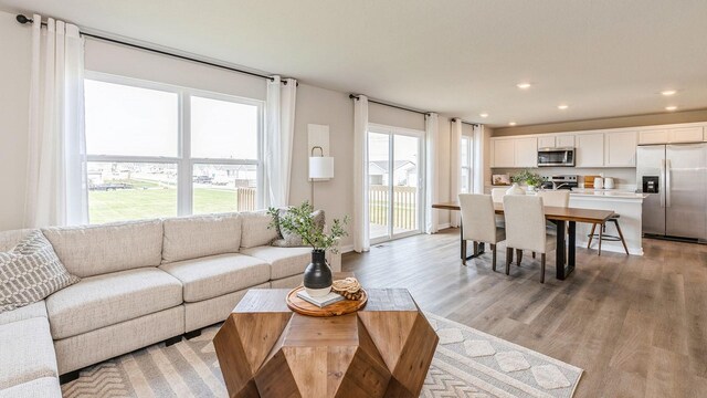 1048 34th St SE, Altoona, IA 50009 - living room featuring plenty of natural light, recessed lighting, and light wood-style flooring