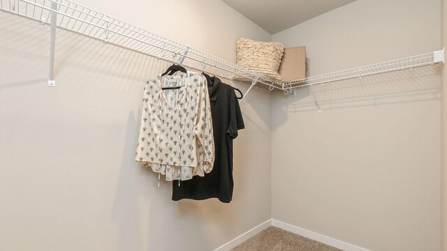 1048 34th St SE, Altoona, IA 50009 - walk in closet featuring carpet floors