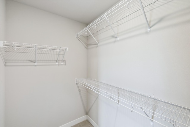 4421 NW Olivia Ln, Ankeny, IA 50023 - view of walk in closet