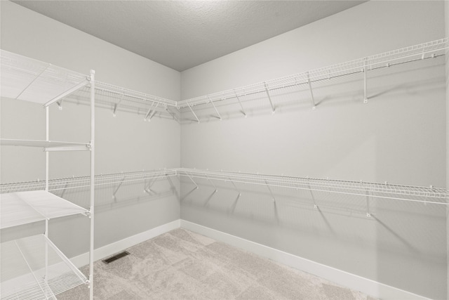 walk in closet with visible vents and carpet floors