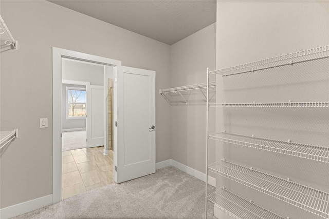 walk in closet with carpet flooring