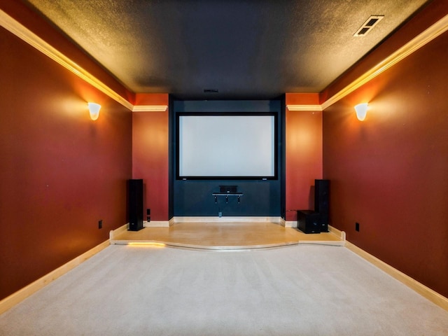 2705 147th St, Urbandale, IA 50323 - carpeted home theater room with a textured ceiling