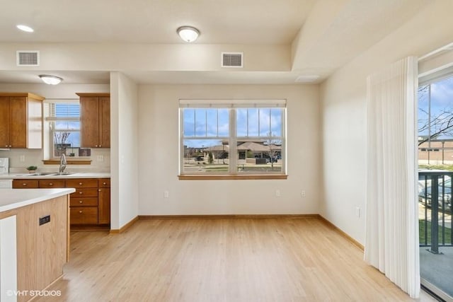 1370 SW Magazine Rd Unit 101, Ankeny, IA 50023 - kitchen with light countertops, light wood-style flooring, visible vents, and a sink