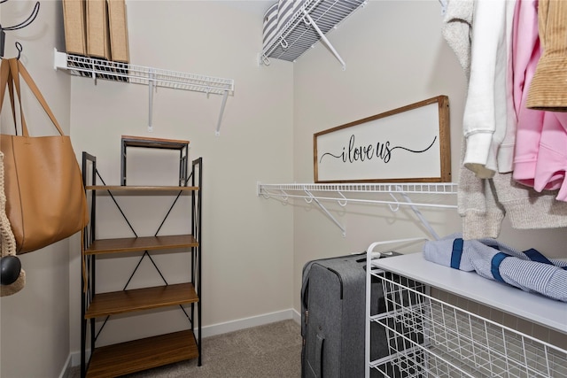 3121 NW 27th Cir, Ankeny, IA 50023 - spacious closet with carpet