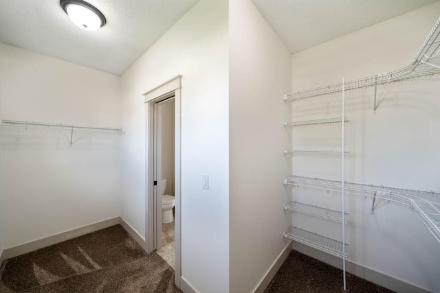 2102 NW 24th St, Ankeny, IA 50023 - spacious closet featuring carpet floors