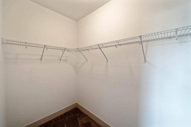 2102 NW 24th St, Ankeny, IA 50023 - view of spacious closet