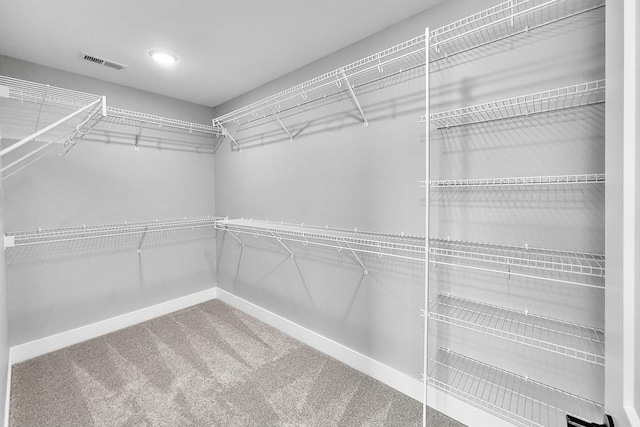 320 Veterans Blvd, Knoxville, IA 50138 - walk in closet featuring carpet floors