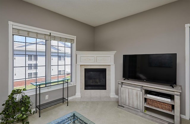 1325 SE Florence Dr Unit 211, Waukee, IA 50263 - living area with baseboards, light carpet, and a fireplace