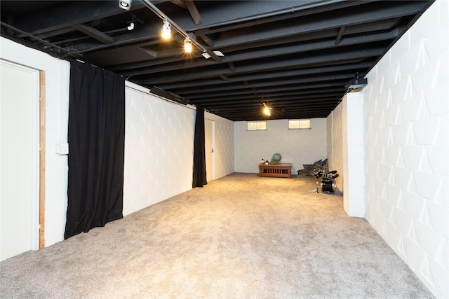 finished basement featuring carpet