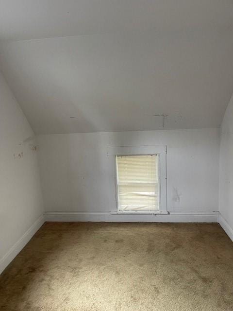 bonus room featuring baseboards, carpet flooring, and vaulted ceiling