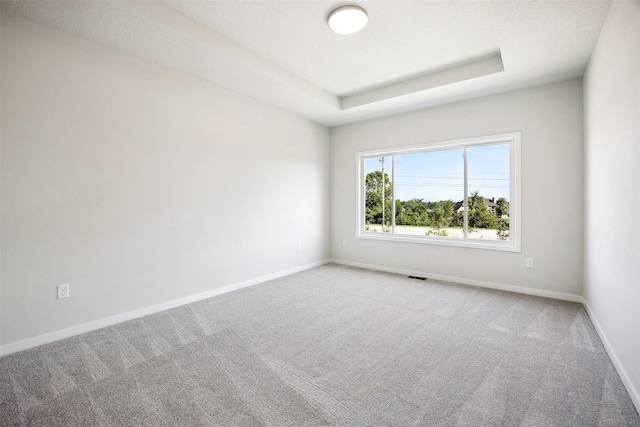 1609 Garland Ave, Norwalk, IA 50021 - spare room featuring carpet and a tray ceiling
