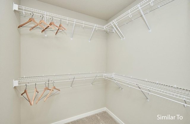 walk in closet featuring carpet floors
