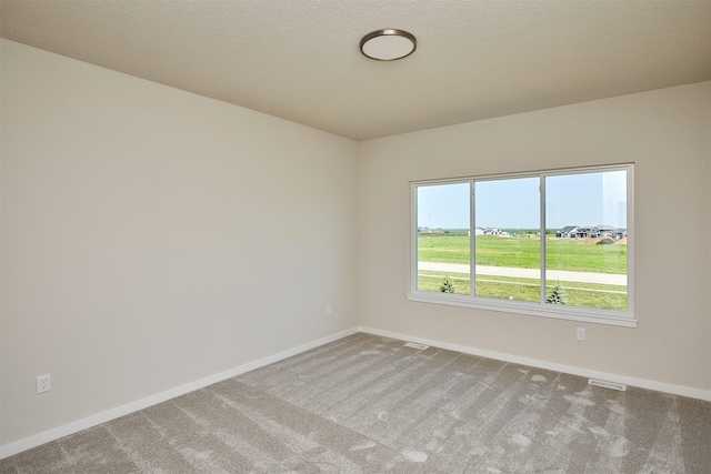1139 NW Petersen Dr, Waukee, IA 50263 - carpeted empty room with baseboards