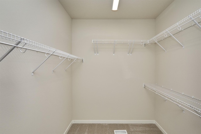 1139 NW Petersen Dr, Waukee, IA 50263 - walk in closet featuring light colored carpet