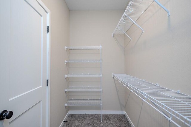 6524 NE Caroline Ave, Pleasant Hill, IA 50327 - photo 22
