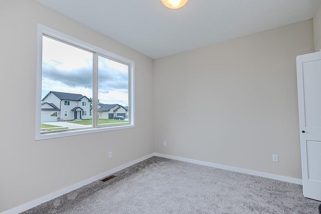 6524 NE Caroline Ave, Pleasant Hill, IA 50327 - photo 15