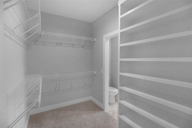 304 13th St NW, Bondurant, IA 50035 - view of spacious closet