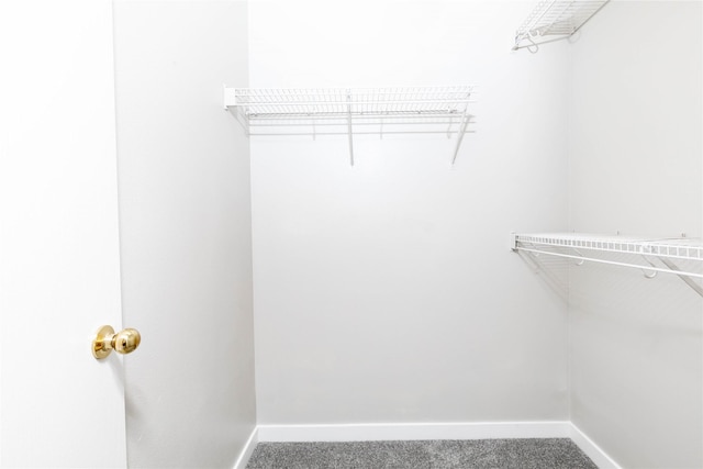 spacious closet with carpet floors