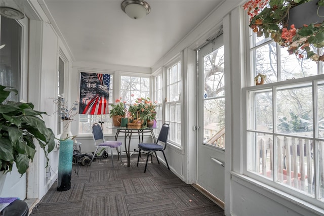 sunroom / solarium with carpet flooring