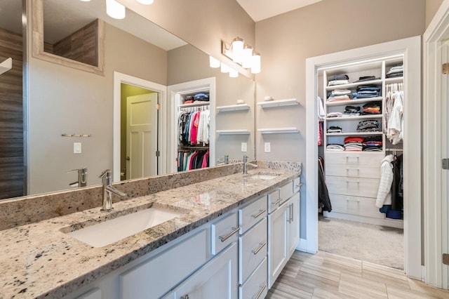 full bath featuring a walk in closet, a sink, and double vanity