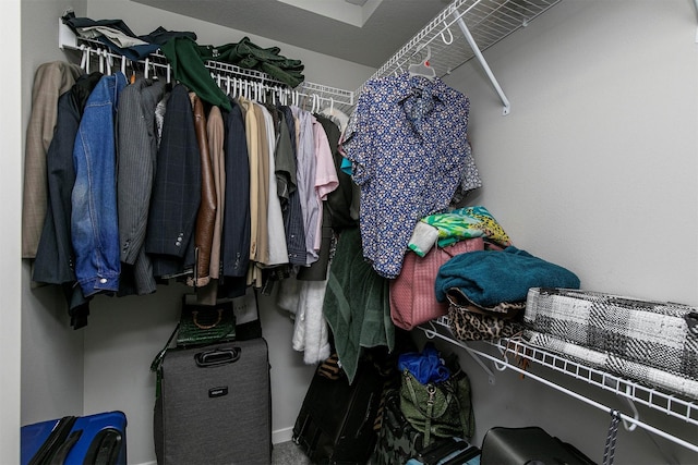 view of walk in closet