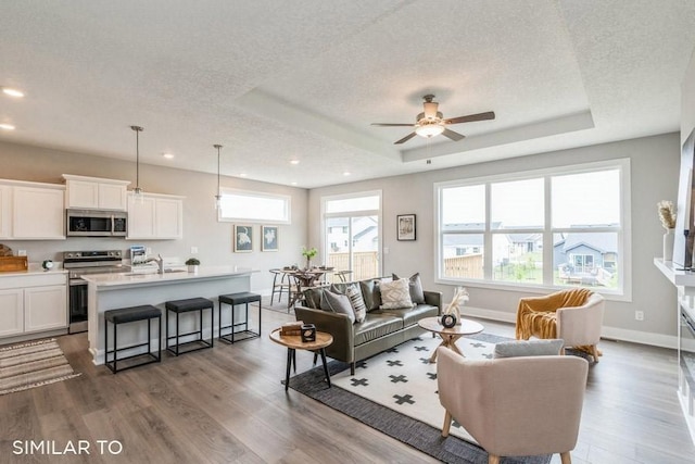 4316 NE 8th St, Ankeny, IA 50021 - living area featuring wood finished floors, a textured ceiling, and recessed lighting